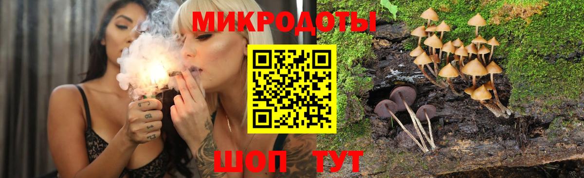 Псилоцибиновые грибы Psilocybe Кириши