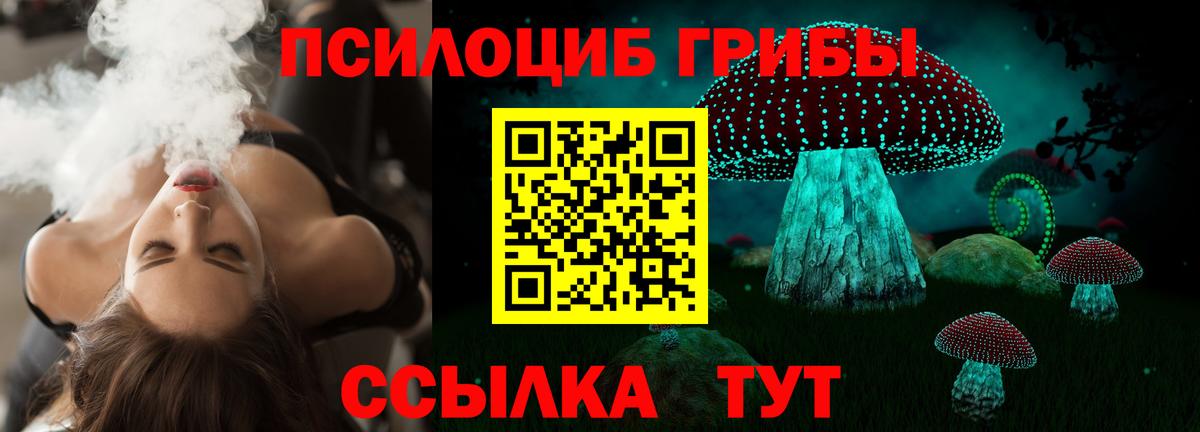 цены наркотик  Галлюциногенные грибы Psilocybe  Вход с VPN  Кириши  Псилоцибиновые грибы Cubensis 